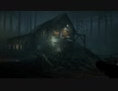 【実況】精神的にくる森でもクリアを目指す 5-2【Blair Witch】