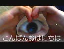 【精神的ブラクラ】おちょくられていると思ったら・・・「あたまおかしい」【実況】