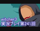 探し人を求めてwitcher3実況プレイ第241回