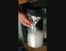 届いたフィギュアが余りにも軽いから警戒して開封した