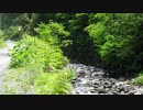 【車載動画】青森秋田県道317号part3+V