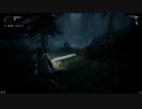 きわだつALAN WAKE part19