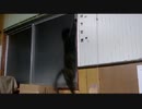 また落ちたｗ