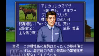 【実況】ウイニングポスト2 プログラム96 #33