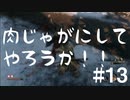#13 SEKIRO普通にやっていく。【ゲーム実況】