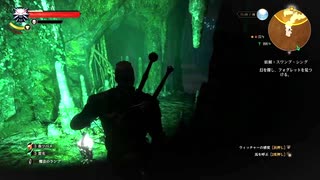 ウィッチャー3　そえもの実況プレイ　Part24