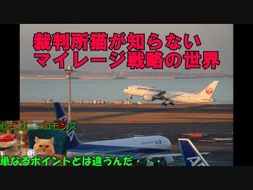 裁判所猫と学ぶ航空用語講座「マイレージプログラム」後編