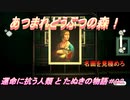 【あつ森】前人未島へようこそ！#93【あつまれどうぶつの森】