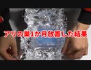 【アリの飼育記2冊目#15】アリの巣を1か月放置してみた結果【クロナガアリ】Leave an ant nest for a month【Messor aciculatus】