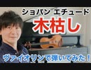 ショパン エチュードOp.25-11「木枯し」をヴァイオリンで弾いてみた