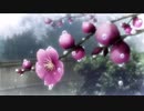梅雨ニモマケズ