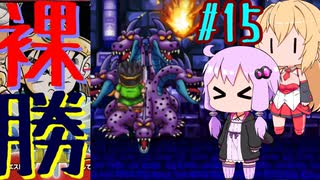 【DQ3】ゆかマキの裸でも勝てるもん！ Part15