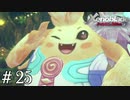 借金まみれの勇者【ゼノブレDE実況＃25】