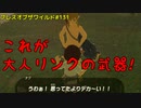 【趣味】拙いですがパンツでマスターになる【ゼルダの伝説ブレスオブザワイルド】pants131