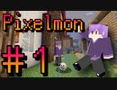 【Pixelmon】まるしばがポケモンマスター目指す旅＃１【Minecraft】