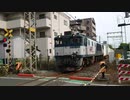 新金線　EF64 1042