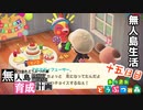 村をとびだせどうぶつの森！初めての無人島生活へ～無人島育成計画～十五日目【あつ森実況】