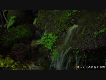 ５月の源流 その２