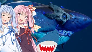 【Maneater実況07】安高価ゲーム好きの琴葉姉妹とサメのコールオブシャーク