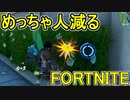 SwitchからPS4に移行した人のフォートナイト実況プレイPart20【FORTNITE】