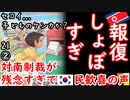 風船で飛ばすなよ...日本に来るってこの前分かったろ...　【江戸川 media lab HUB】お笑い･面白い･楽しい･真面目な海外の反応