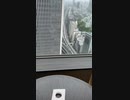 世界のステキなホテル巡り〜第十六回: ANA InterContinental Tokyo - Executive Suite “TORI”〜