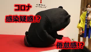 ポーズを取っただけで倦怠感！？くまモンにコロナ感染疑惑！？inくまモンスクエア！