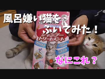 風呂嫌い猫に最終手段とってみた。