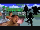 Terraria(淫夢).mp0