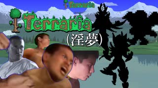 Terraria(淫夢).mp0