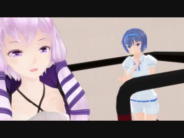 ボイチェビトークの週末DDR部~13~