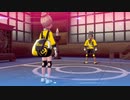 【ポケモン剣】実況初心者が鎧の孤島をプレイ【part8】