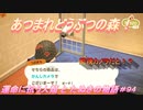 【あつ森】前人未島へようこそ！#94【あつまれどうぶつの森】