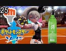 【ポケモン剣盾】ポケットモンスターソード実況プレイpart25【完全初見】
