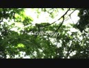 その街のdiary (Track by EARVIN'S HOUSE) / atmos