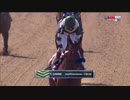 【競馬】2020 エイコーンS　ガミーン