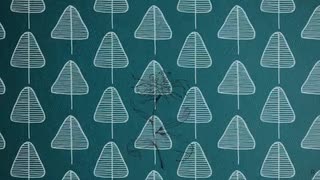 『flos』 歌ってみた【くろきょん】