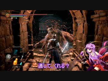 素直で温厚なゆかりさんのダークソウル３　PRT３１