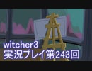 探し人を求めてwitcher3実況プレイ第243回