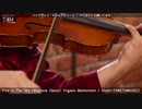 ハードロックをバイオリンで演奏すると、、、Yngwie guitar Violin Cover :TAM(TAMUSIC)