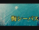 [シーバス]掛けてからのやり取り(特に足元に寄せてから)が大事編