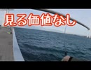 ルアー釣りしてるはずが何故か牛丼レビュー動画に、、、