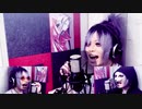 【弾いてみた】Over Soul - Northern lights / 林原 めぐみ　420N【歌ってみた】