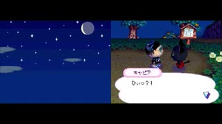 【実況】移住生活の男 7日目【おいでよどうぶつの森】