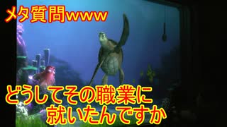 【メタ質問ｗｗｗ】どうしてその職業に就いたんですか【タートルトーク】東京ディズニーシー
