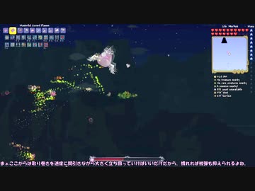 Terraria廃人への道【Master Mode】Part25