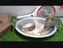 ホモと学ぶネズミトラップ.uc