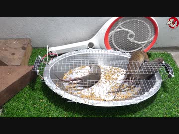 ホモと学ぶネズミトラップ.uc