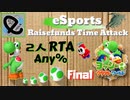 【eRTA】2人でヨッシークラフトワールド 募金Speedrun Any%【Final＆募金パート】