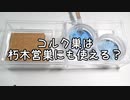 【アリの飼育記2冊目#17】コルク巣を朽木営巣に使えるか実験してみた【ムネアカオオアリ】